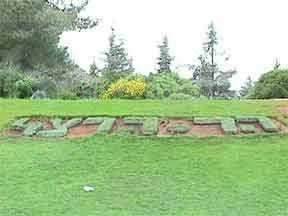 Herzl Grab